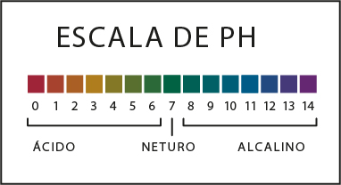 2Recurso 55